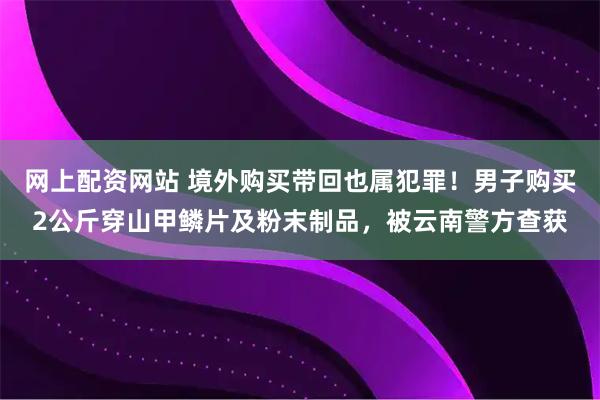 网上配资网站 境外购买带回也属犯罪！男子购买2公斤穿山甲鳞片及粉末制品，被云南警方查获