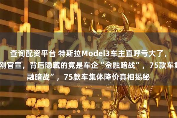 查询配资平台 特斯拉Model3车主直呼亏大了，8000元保险补贴刚官宣，背后隐藏的竟是车企“金融暗战”，75款车集体降价真相揭秘